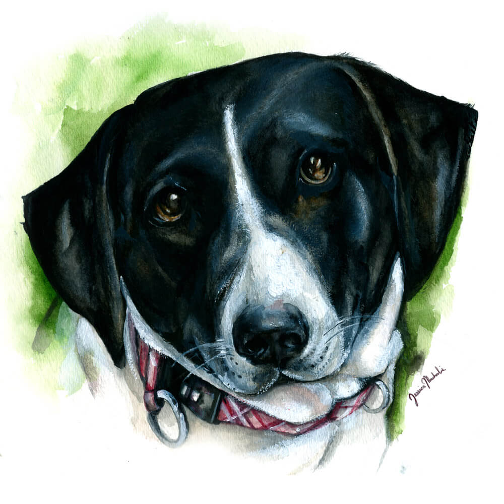 WineDogGeorgia-1