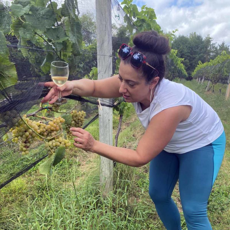 Nikki-Yoga-Wine-Glass-Vines