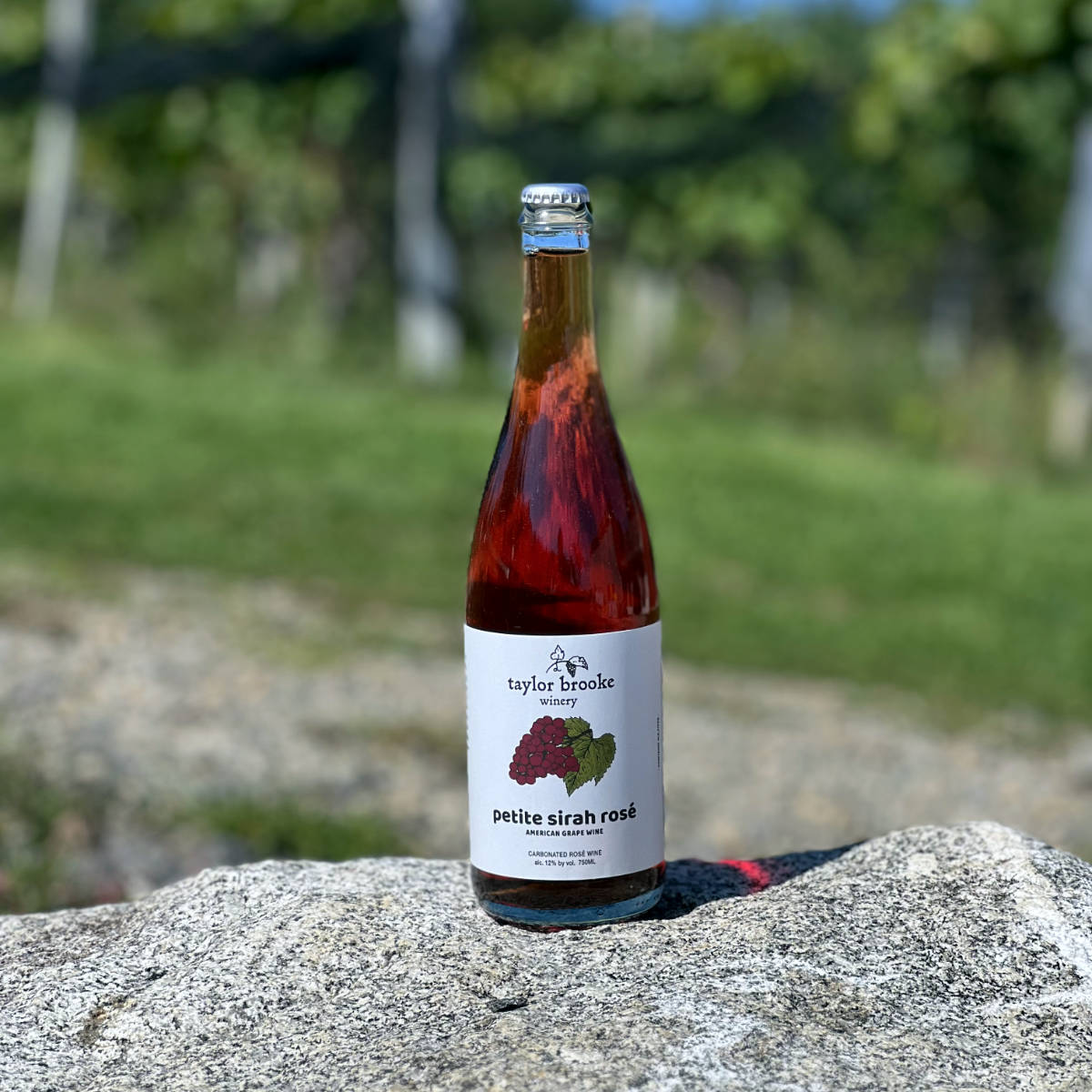 Petite-Sirah-Rose